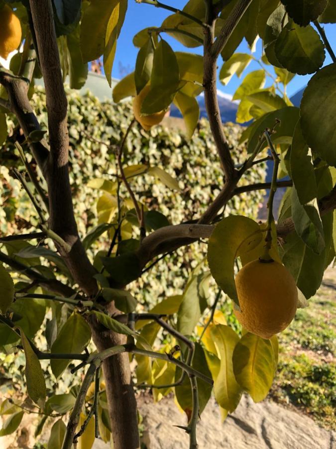 Agriturismo Cavria Castione Andevenno Bagian luar foto